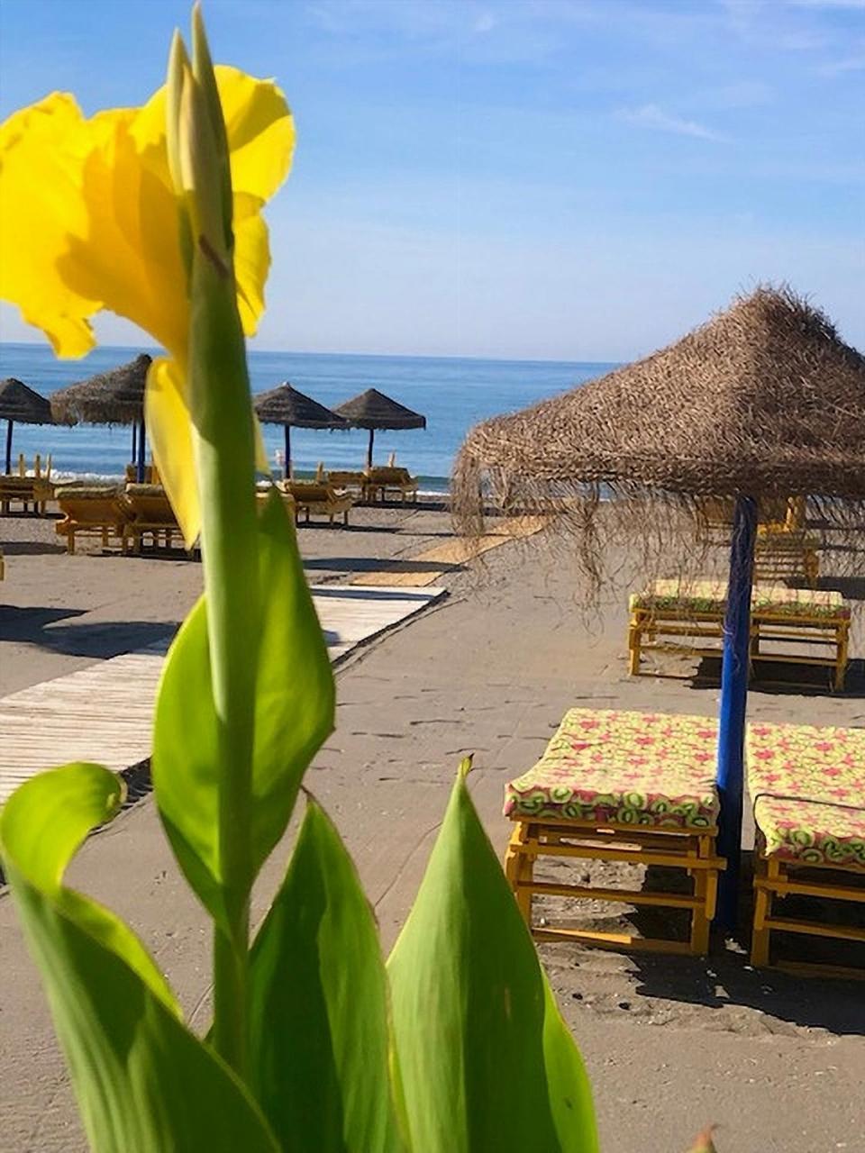 Spacious 1 Bedroom Apartment, Beach Front, Torrox Costa מראה חיצוני תמונה